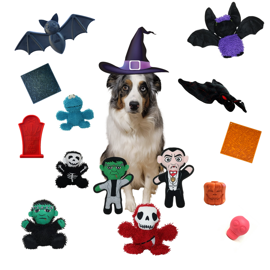 Dog Halloween