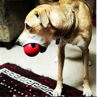 Holiday Treat Dispenser and Chew Toy - Christmas Ornament