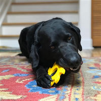 Saw Blade Shaped Ultra Durable Nylon Dog Chew Toy