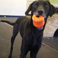 Natural Rubber Jack O' Lantern Treat Dispenser - Chew Toy - Slow Feeder