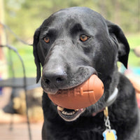 Rubber Football Chew Toy - Treat Dispenser - Slow Feeder