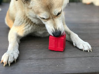 Gift Box Natural Rubber Chew Toy and Treat Dispenser