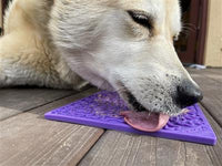 Bones Design Emat Enrichment Licking Mat