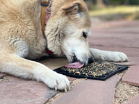 Zombie Design Emat Enrichment Licking Mat