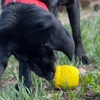 Honey Pot Durable Rubber Treat Dispenser & Enrichment