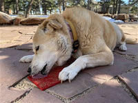 Heart Design "Love" eMat, Enrichment Lick Mat