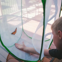 Butterfly and Insect Habitat Cage