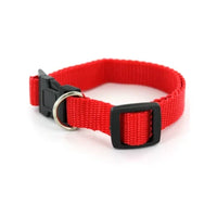 Adjustable Nylon Dog Collar, 3/4" Wide