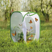 Butterfly and Insect Habitat Cage