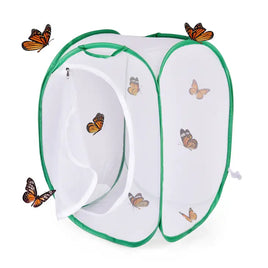 Butterfly and Insect Habitat Cage