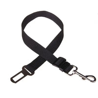 Dog Car Seat Belt